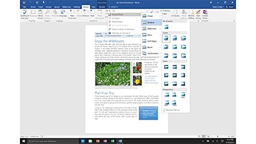 Microsoft Office Home and Student 2016 32/64 English NA/PR Only Medialess Brown Box