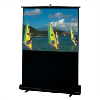 60IN DIAG TRAVELLER PORTABLE PROJ SCREEN MATTWHITE 4:3 36INX48IN