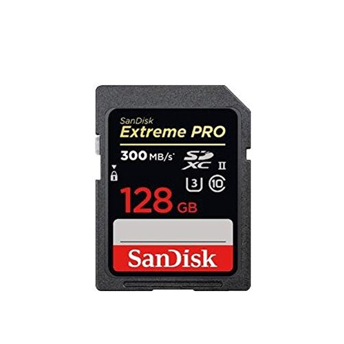EXTREME PRO SD,300/26
