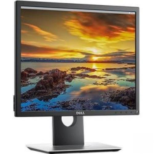 Dell Monitors P1917S 19In Monitor