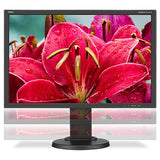 NEC E245WMI-BK 24" Screen LED-Lit Monitor