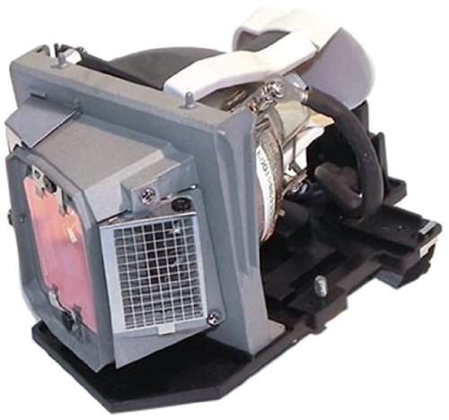 Battery Technology Replacement Lamp 317-1135-BTI