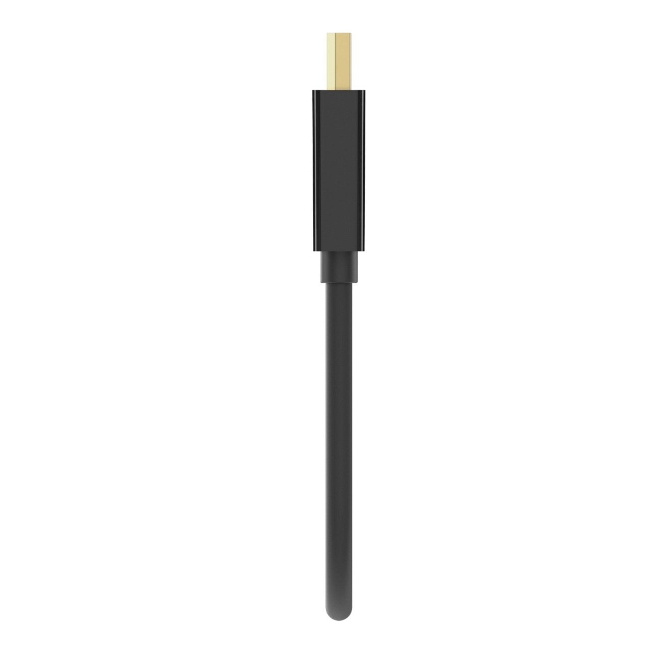 Display Port To DVI Adapter (Display Port Male to DVI Female)