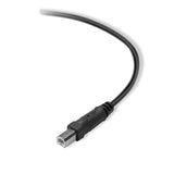 Belkin Premium Printer Cables Cable10 Ft4 Pin USB Type B to 4 Pin USB Type A, Black (F3U154BT3M)