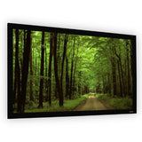 EluneVision EV-F-120-1.2 Projection Screen
