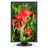 NEC E245WMI-BK 24" Screen LED-Lit Monitor