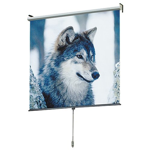 Luma Manual Screen Wall/Ceiling Matt White 72x96in