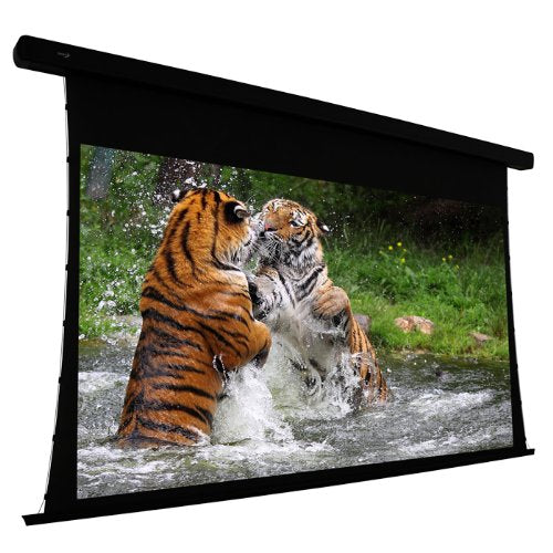 ELUNEVISION EV-T3-92-1.0 Projection Screen Motorized 110 V, Black