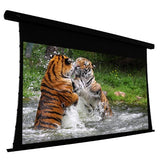 ELUNEVISION EV-T3-106-1.0 Projection Screen Motorized 110V, Black
