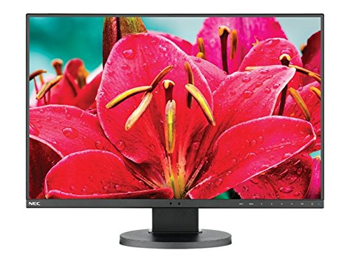NEC 29" Ultrawide Desktop Monitor
