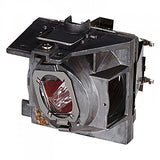 ViewSonic RLC-109 Projector Replacement Lamp