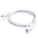 Display Port Cable - Mini Displayport - Male - Mini Displayport - Female - 2 M