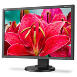 NEC E245WMI-BK 24" Screen LED-Lit Monitor