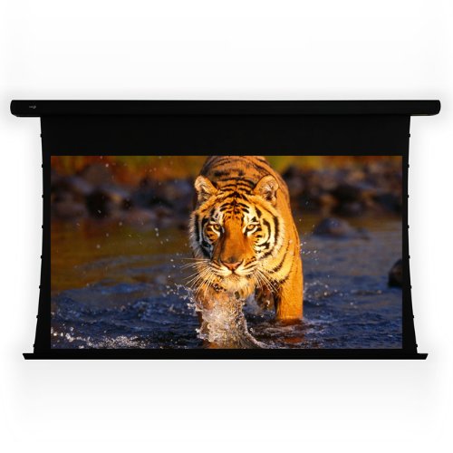 ELUNEVISION EV-T3-92-1.0 Projection Screen Motorized 110 V, Black