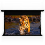 ELUNEVISION EV-T3-106-1.0 Projection Screen Motorized 110V, Black