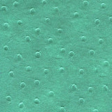 Kensington K39626WW Vesto Leather Texture Case for iPhone 5 & 5S, Teal Ostrich