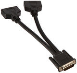 C2G 38064 One LFH-59 (DMS-59) Male to Two DVI-I Female Cable, Black (9 Inches)