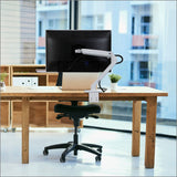 Ergotron 4290 Mxv Desk Monitor Arm