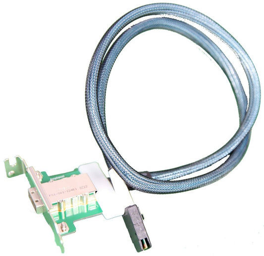 85cm 1port Ext Ipass to Int Ipass Lp Cable