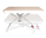 Aluratek Adjustable Ergonomic Standing Desk, Supports MacBook Pro, MacBook Air, Chromebook, Ultrabook, Netbooks, Tablets, Surface, and All laptops up to 17 inches (ASD17F)