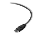 Belkin Premium Printer Cables Cable10 Ft4 Pin USB Type B to 4 Pin USB Type A, Black (F3U154BT3M)