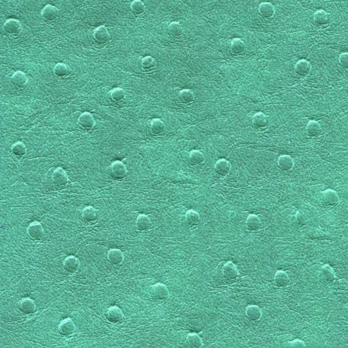 Kensington K39626WW Vesto Leather Texture Case for iPhone 5 & 5S, Teal Ostrich