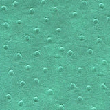 Kensington K39626WW Vesto Leather Texture Case for iPhone 5 & 5S, Teal Ostrich