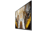 Samsung 49" LED Display