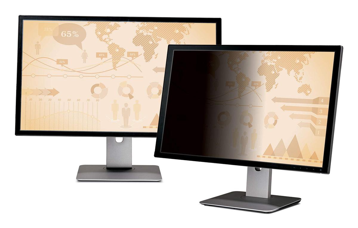 3M Privacy Filter for 19" Diagonal Standard Monitor, Reduces blue light (5:4) (PF190C4B)