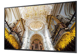Samsung 43" UHD Display