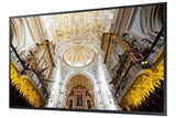 Samsung 49" LED Display