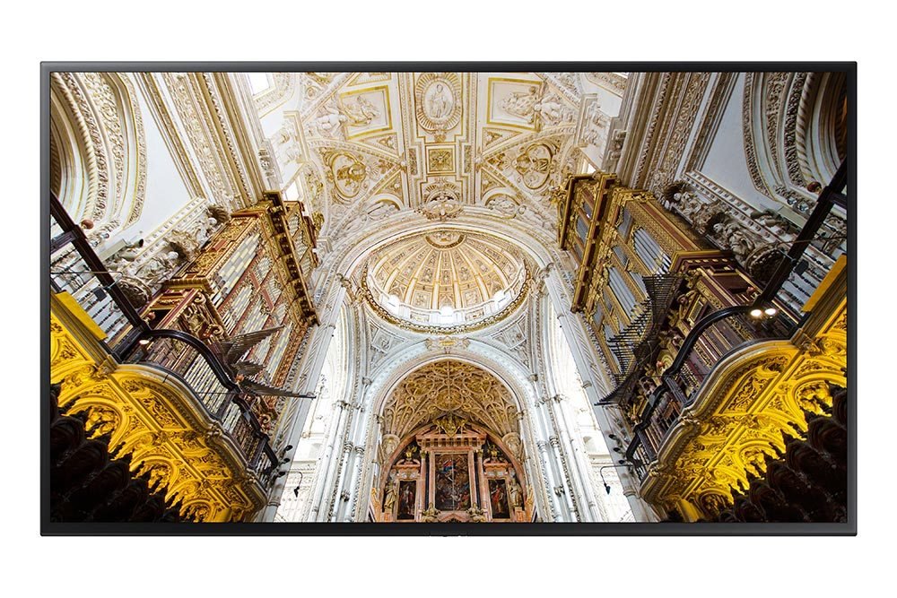 Samsung 49" LED Display