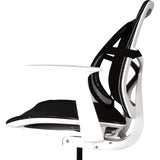 Office Suites Ergonomic Black Back Support