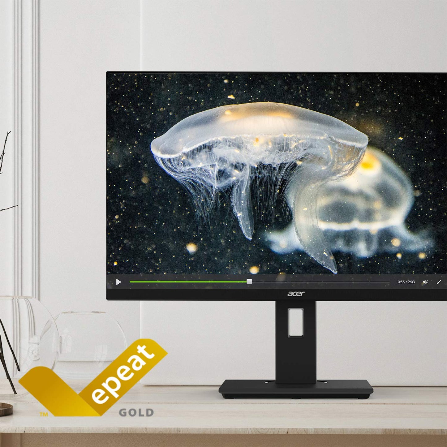 Acer B247W bmiprzx 24" Full HD (1920 x 1200) IPS Monitor - 4ms Response Time | 16:10 Aspect Ratio (Display, HDMI & VGA Ports)