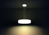 Philips Hue White Ambiance Dimmable LED Smart Suspension Light (Requires Hue Hub, Works with Alex, Apple HomeKit, and Google Assistant)
