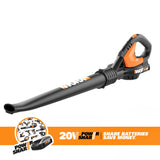 The WORX WG951.2 Combo kit Comes with The WORX WG160 10-Inch Trimmer, The WG545.1 WORX AIR Blower/Sweeper, one WA3525 20V Battery and WA3732 Battery Charger