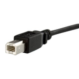 StarTech.com 1 ft Panel Mount USB Cable B to B - F/M - USB cable - USB Type B (F) to USB Type B (M) - USB 2.0 - 1 ft - molded, thumbscrews - black - USBPNLBFBM1