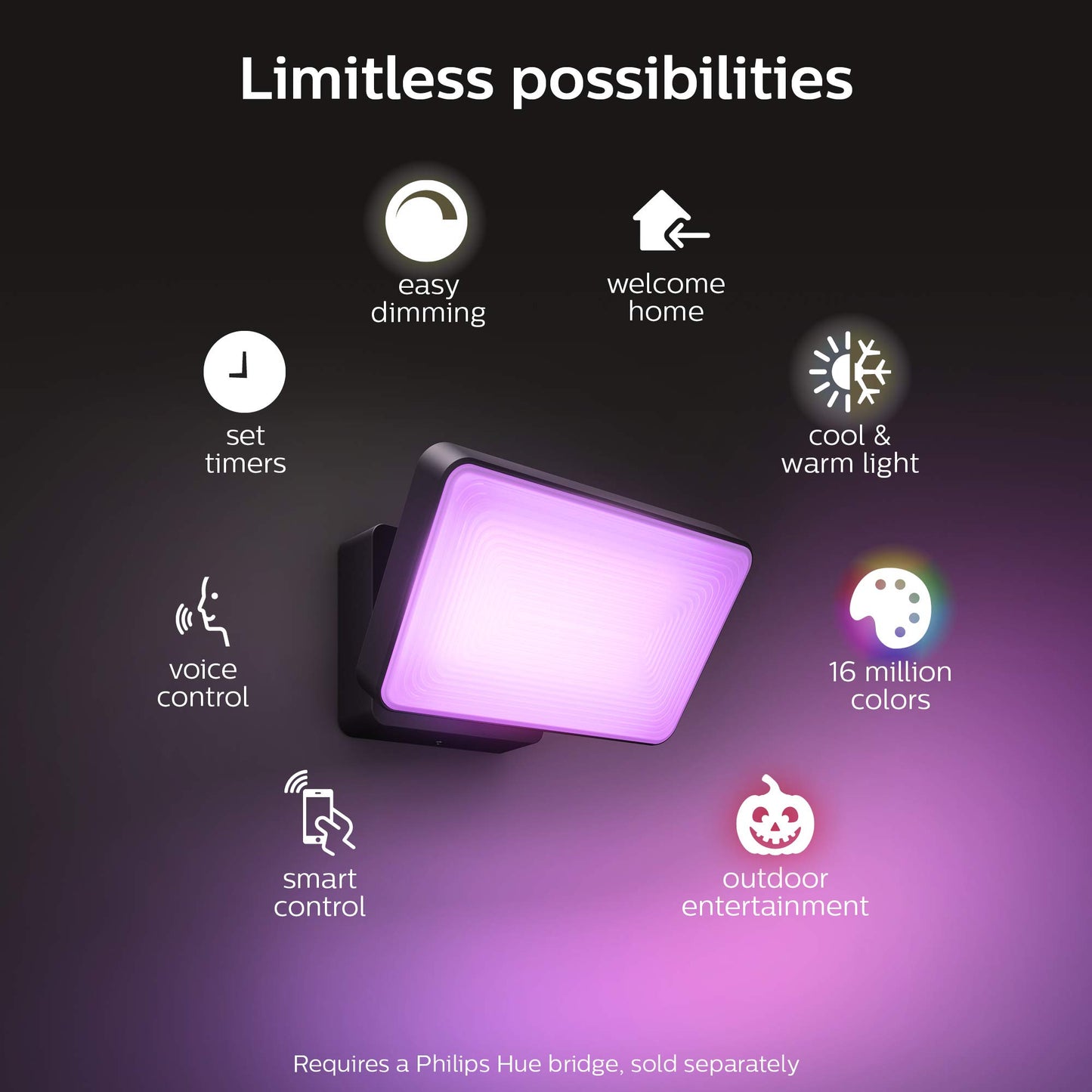 Philips Hue 1743530V7 Discover Floodlight, Black