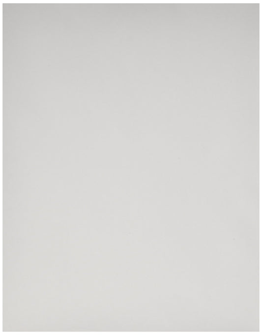 Brother Letter Size (100 Sheets Per Box) Premium Thermal Paper- 20 Year Archive Lifespan - LB3635