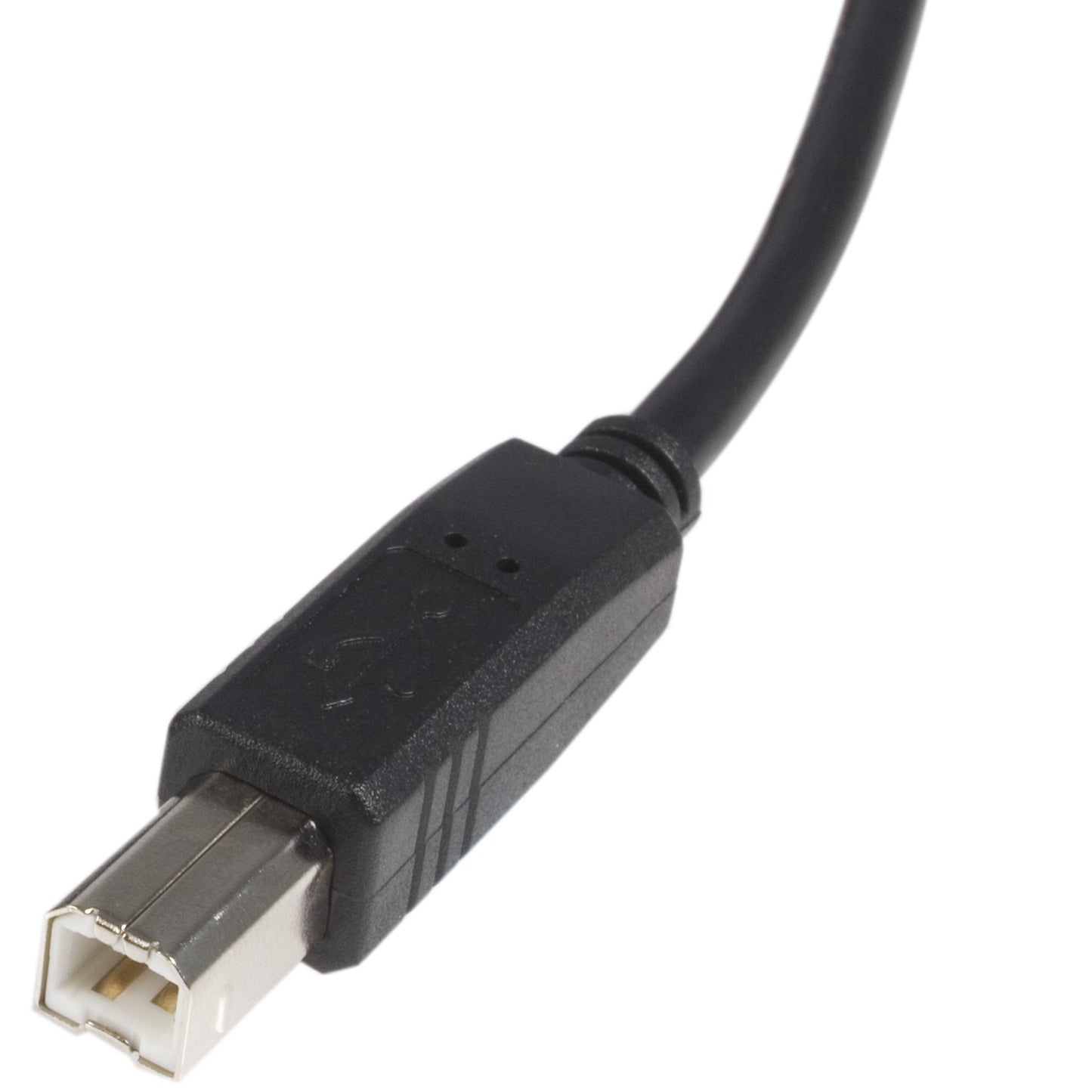 StarTech.com 1 ft USB 2.0 A to B Cable - M/M - USB cable - USB (M) to USB Type B (M) - USB 2.0 - 1 ft - black - USB2HAB1