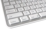 Logitech Wireless Solar Keyboard K750 for Mac - Silver