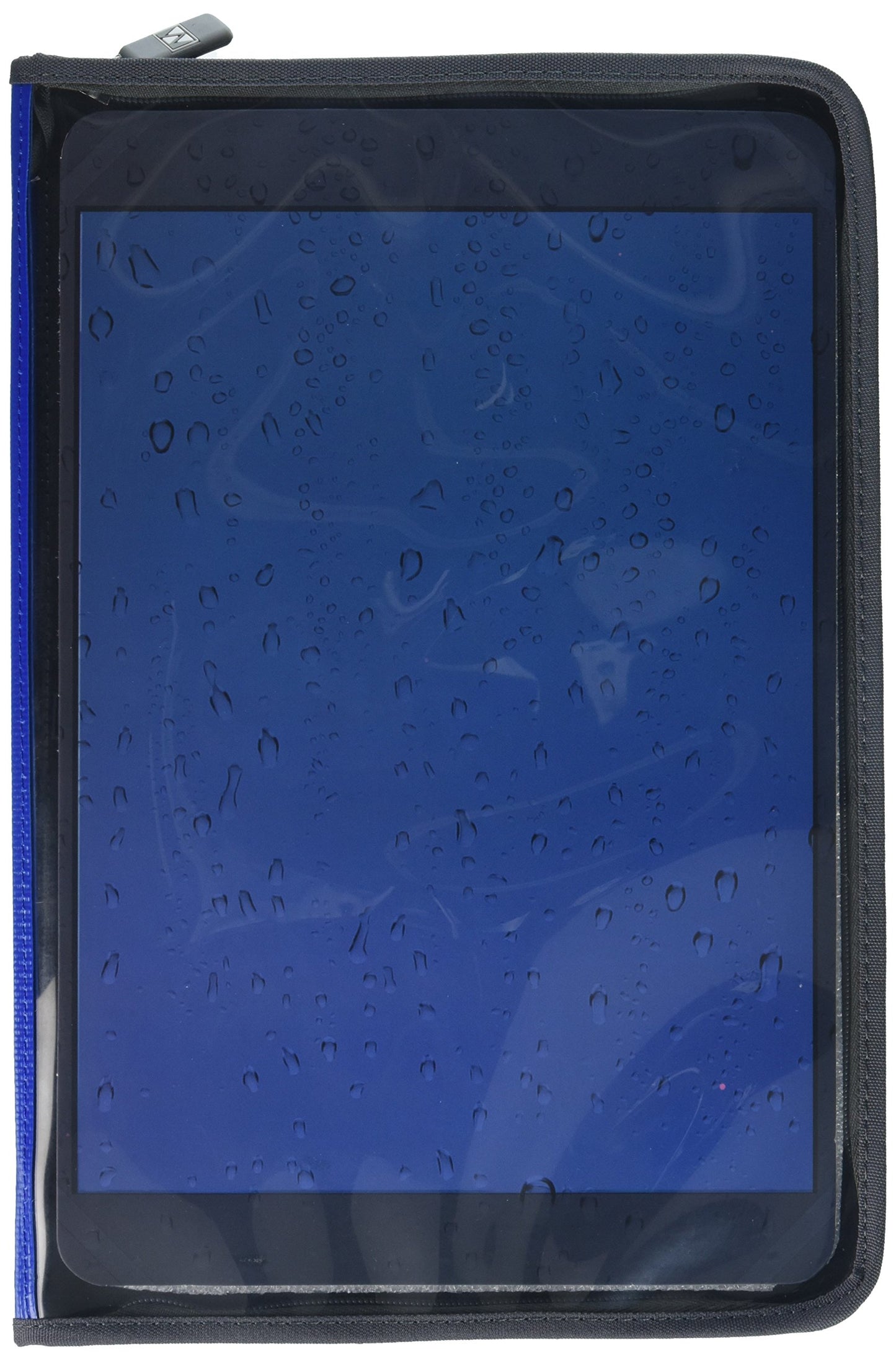 ING-2081CM