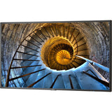 P484 48IN LCD Public DISP MNTR