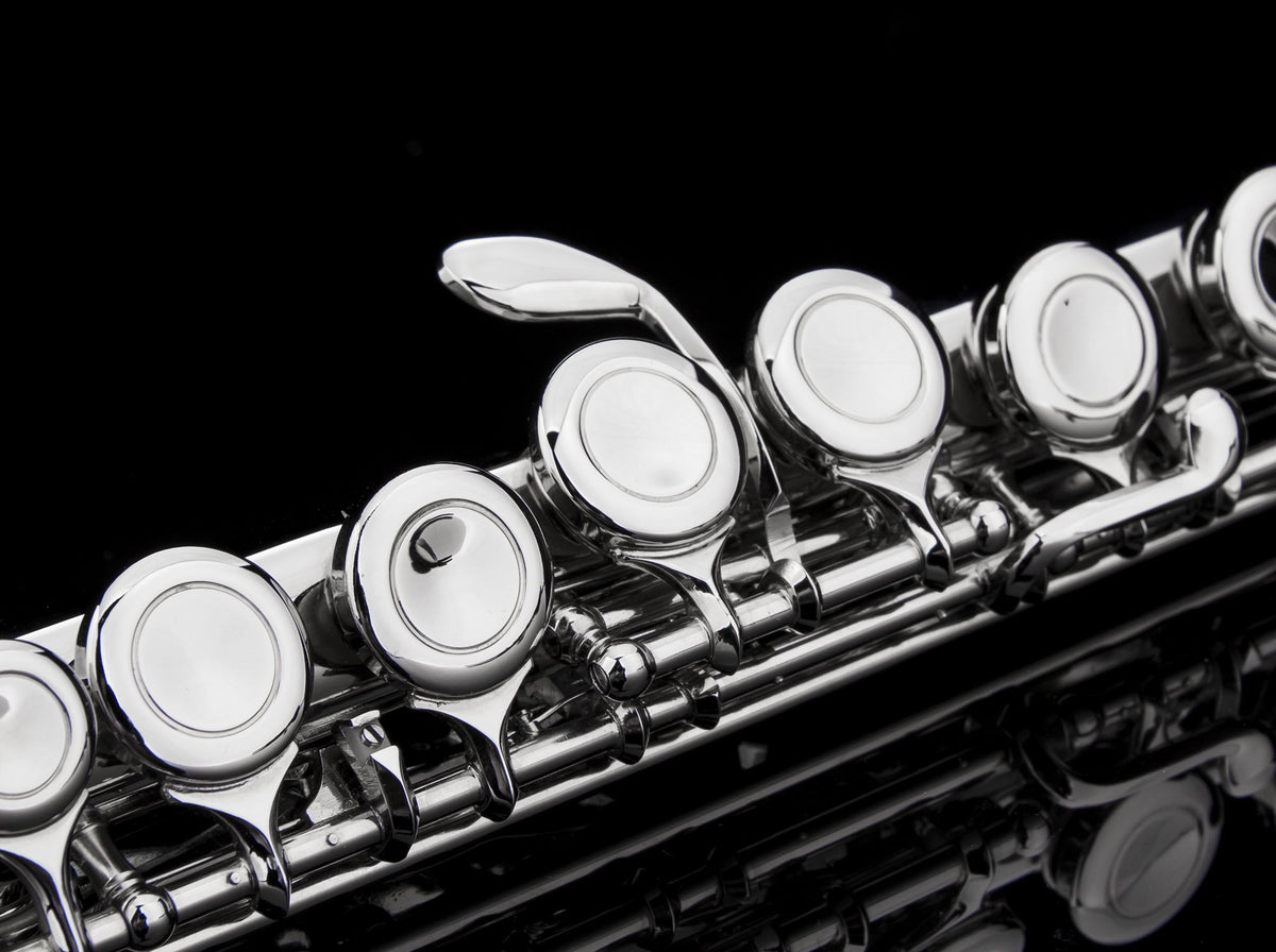 Engraved Glory Closed Hole C Flute for Band, Orchestra, With Case, Tuning Rod and Cloth,Joint Grease and Gloves, Engraved Silver Nickel Color flute