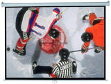 Elite Screens Manual Series Pull Down Projection Screen