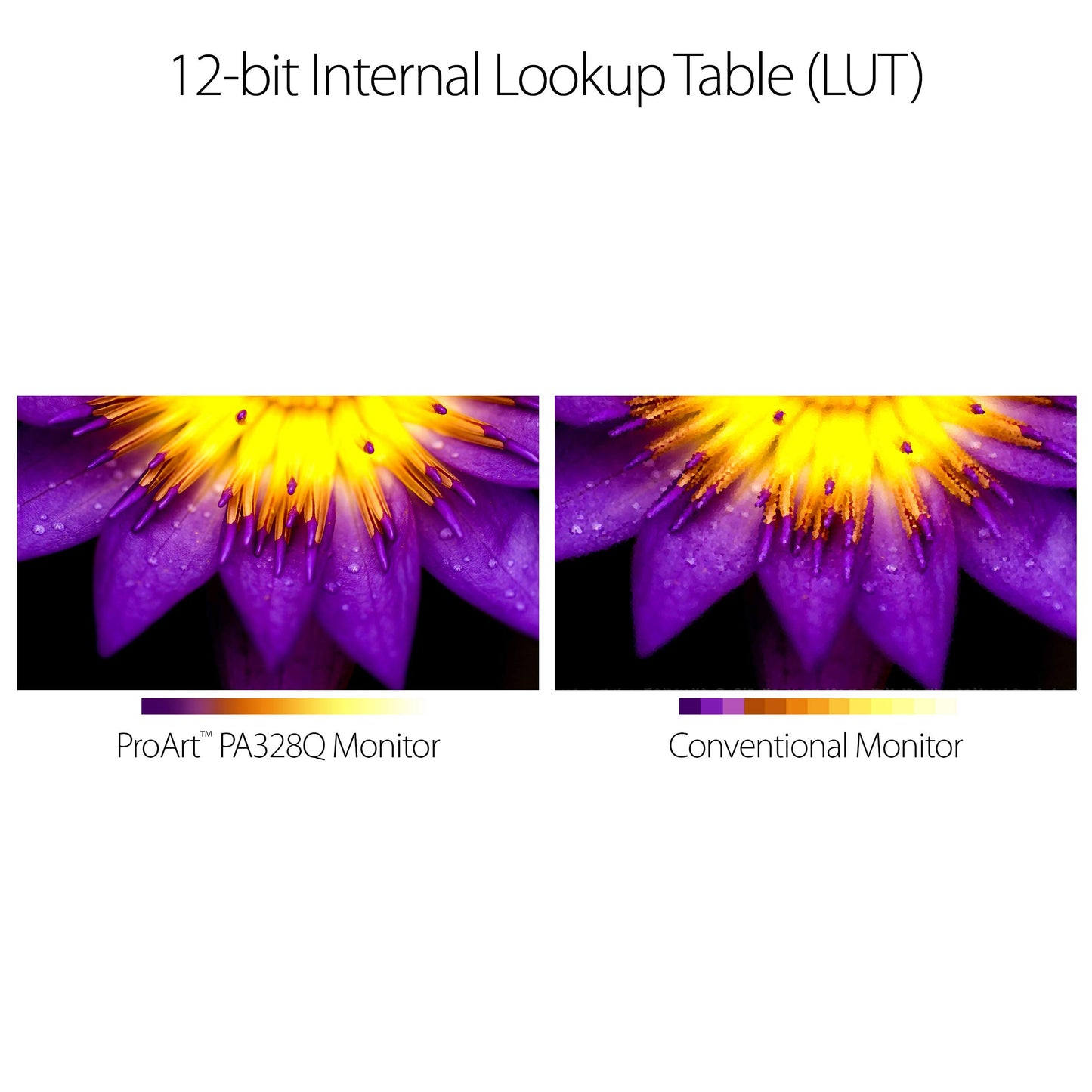 ASUS PA328Q 32" Ergonomic Back-lit LED Monitor