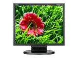 E171M-BK 17IN LED LCD MON 12X10 5MS VGA