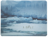 Nat Geographic MousePad POP Display 24pk