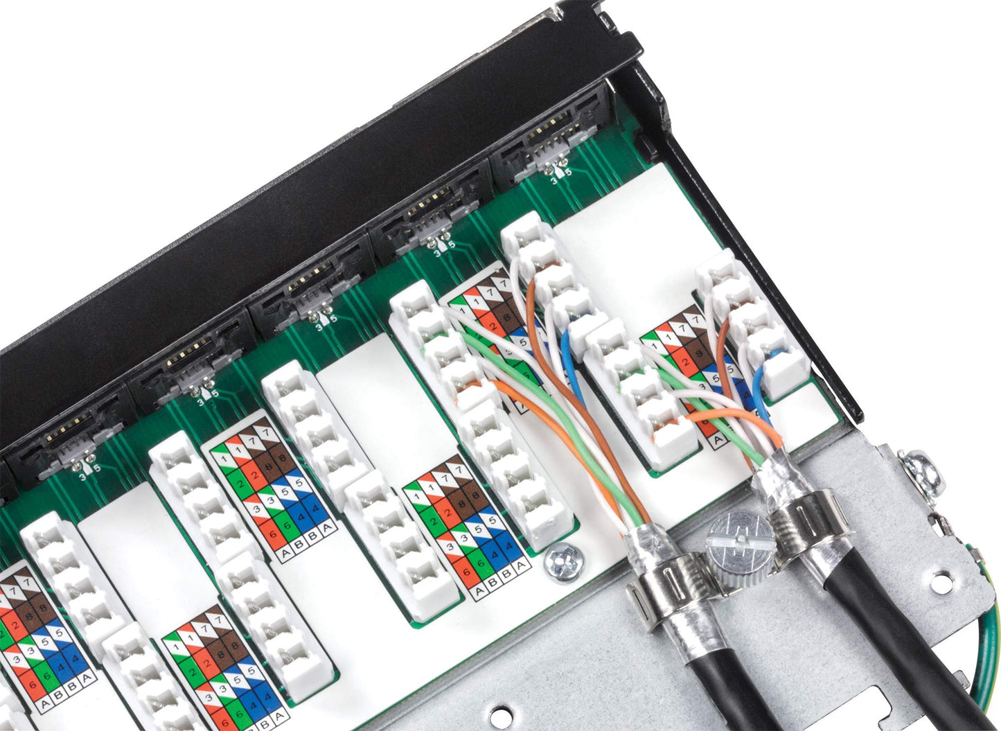 TRENDnet 12-Port Cat6A Shielded Wall Mount Patch Panel