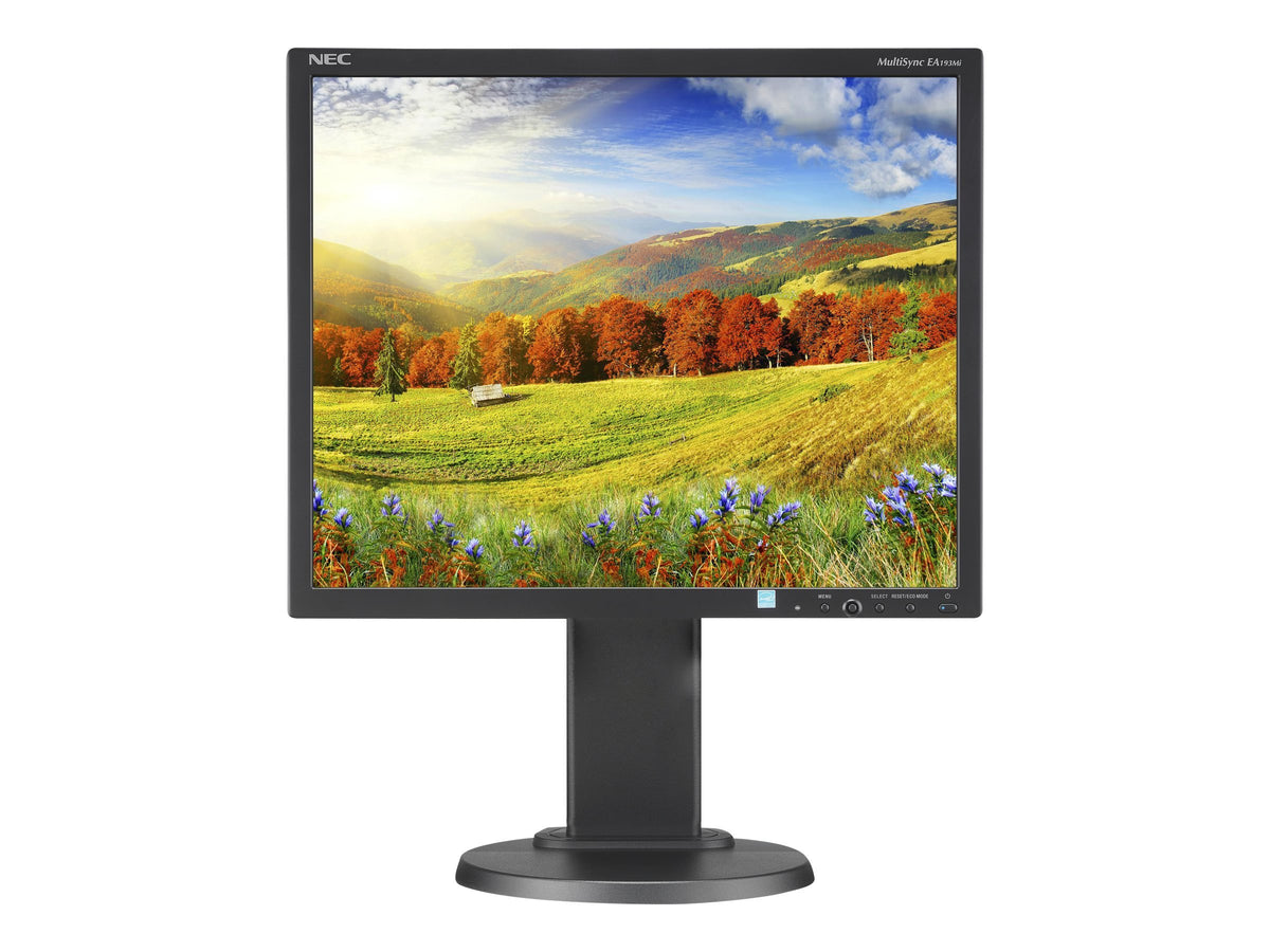 NEC Display EA193MI-BK MultiSync 19'' LED-Backlit LCD Monitor, Black